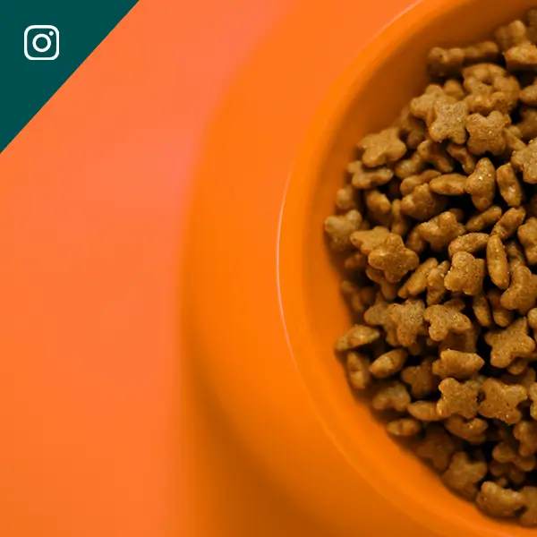 instagram post image