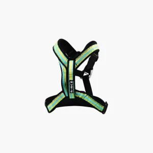 Dog Harness Nylon Strap