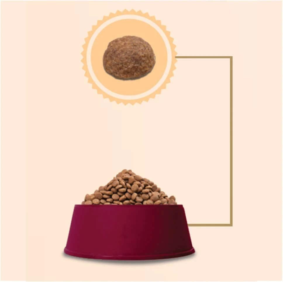 GranPlus Affinity - Choice Cães Adultos Frango Carne, Ração Guabi, 15kg - Imagem 3